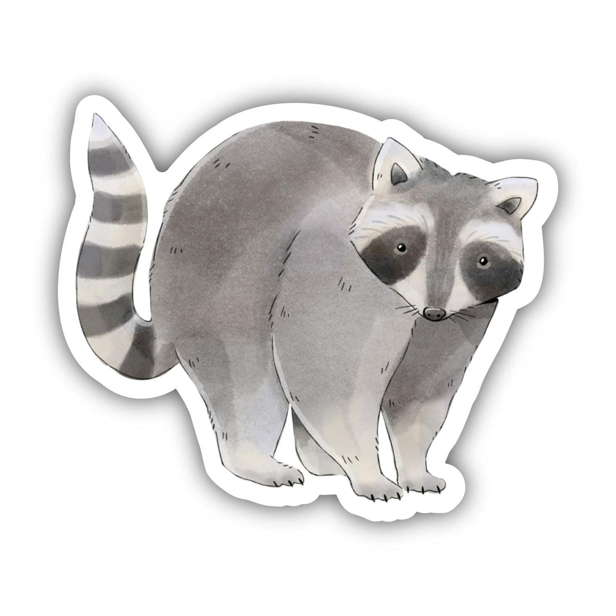 10/30/50/100PCS Cute Animal Raccoon Stickers For Kids DIY