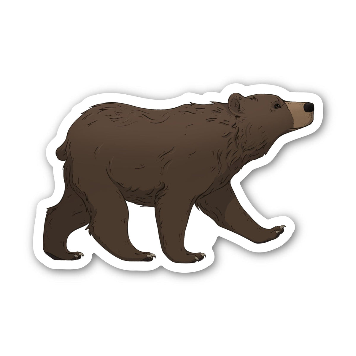 Bear Sticker – Big Moods