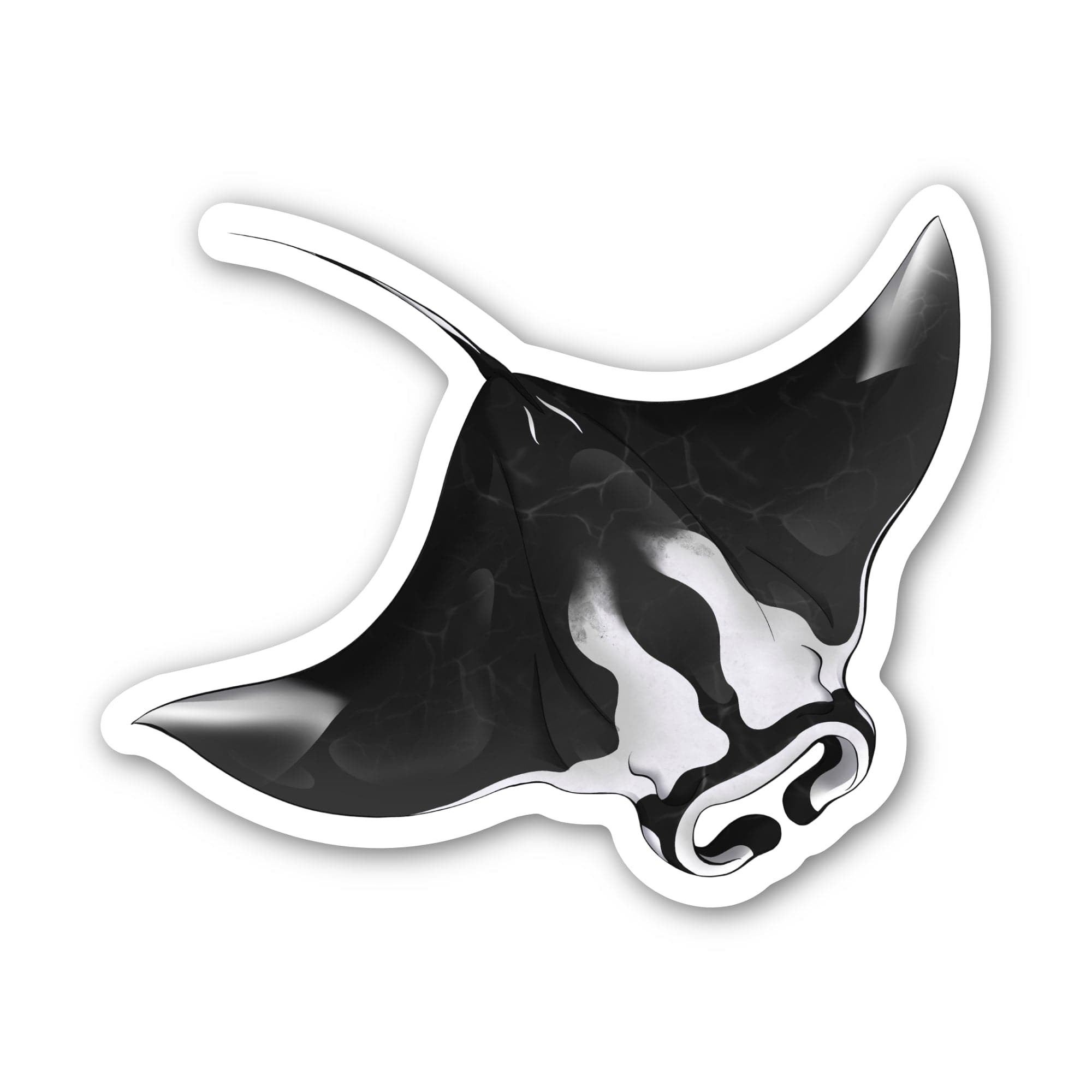 Manta Rays Image For Sticker Manta Ray Sticker – Big Moods