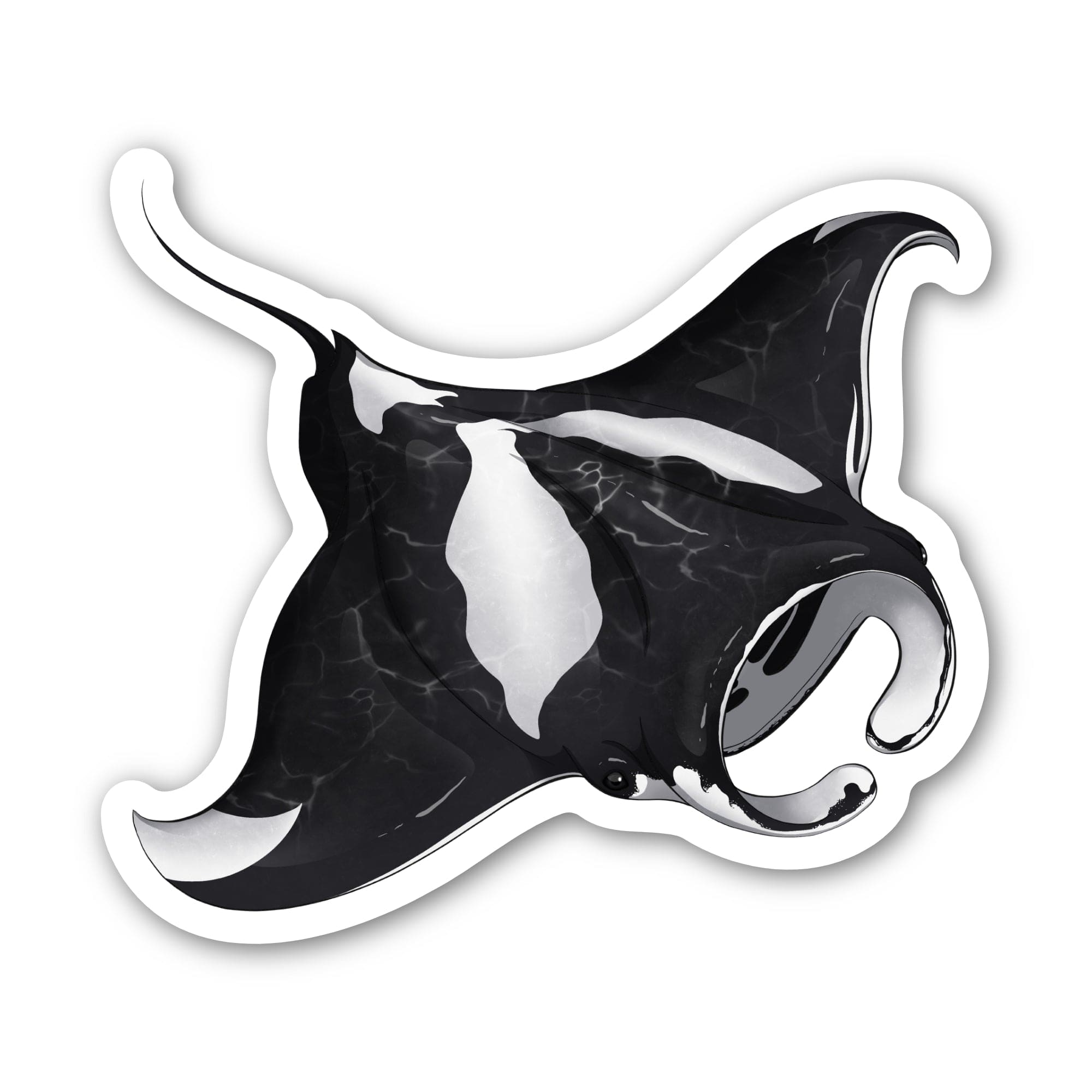 Manta Rays Image For Sticker Oceanic Manta Ray Sticker – Big Moods