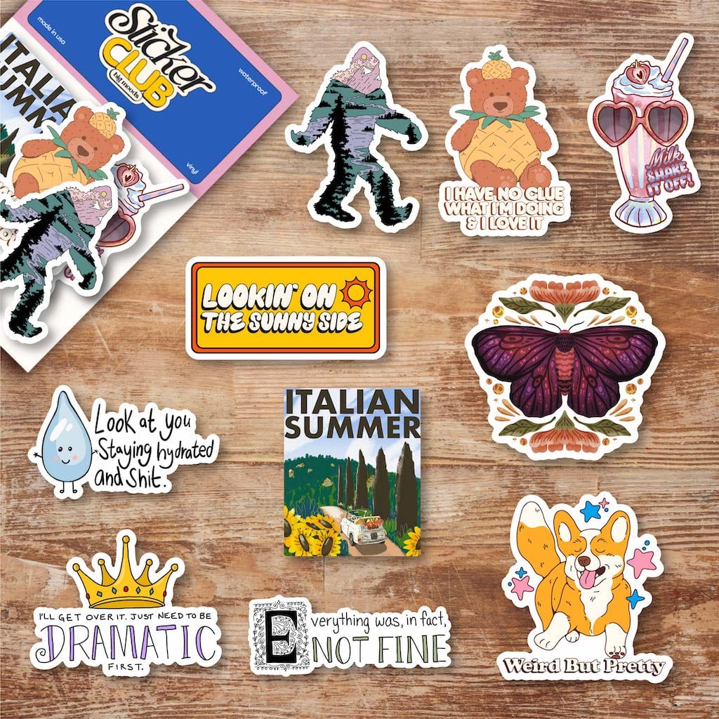 The Best Sticker Subscription Box from Big Moods
