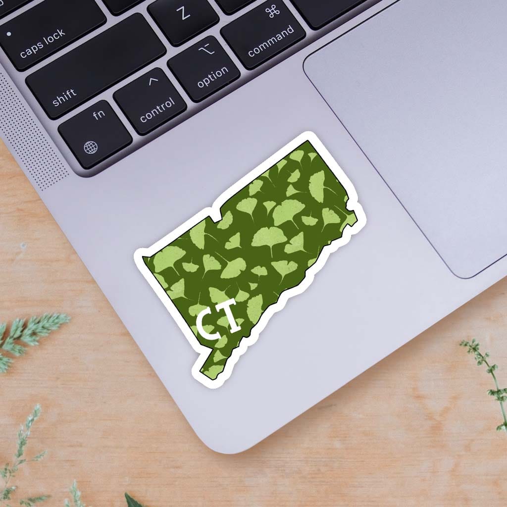 Connecticut Stickers – Big Moods