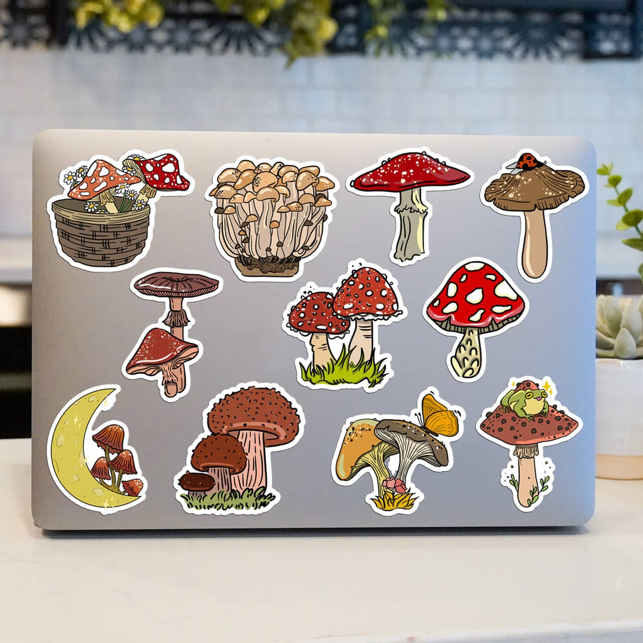 Mushroom Sticker 11 Pack – Big Moods