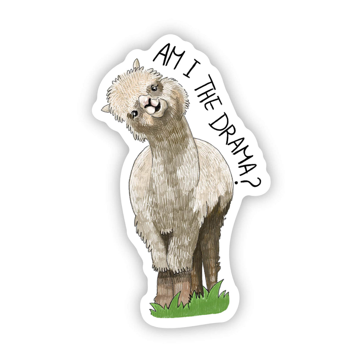 No Drama Llama Meaning