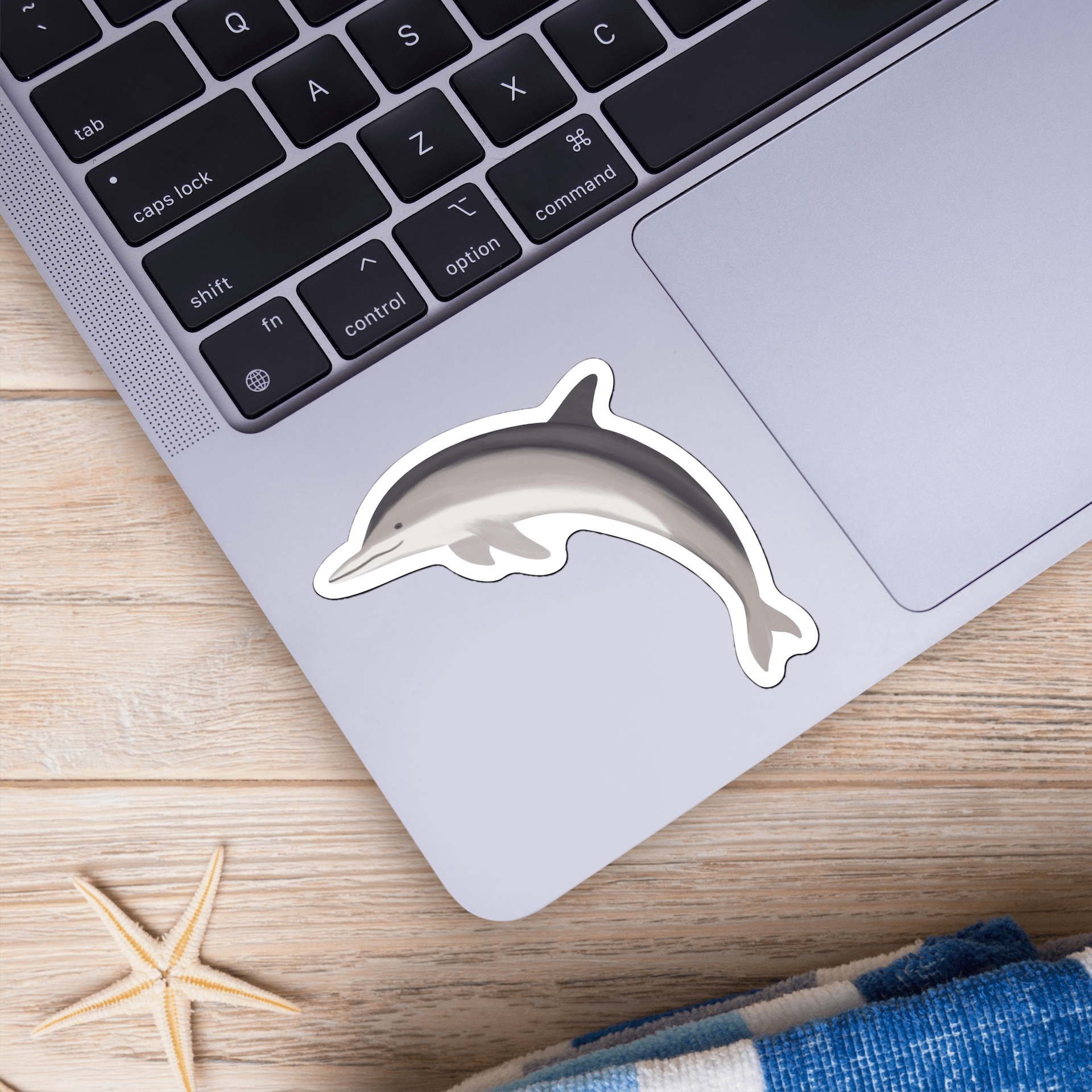 Spinner Sticker Spinner Dolphin Sticker – Big Moods