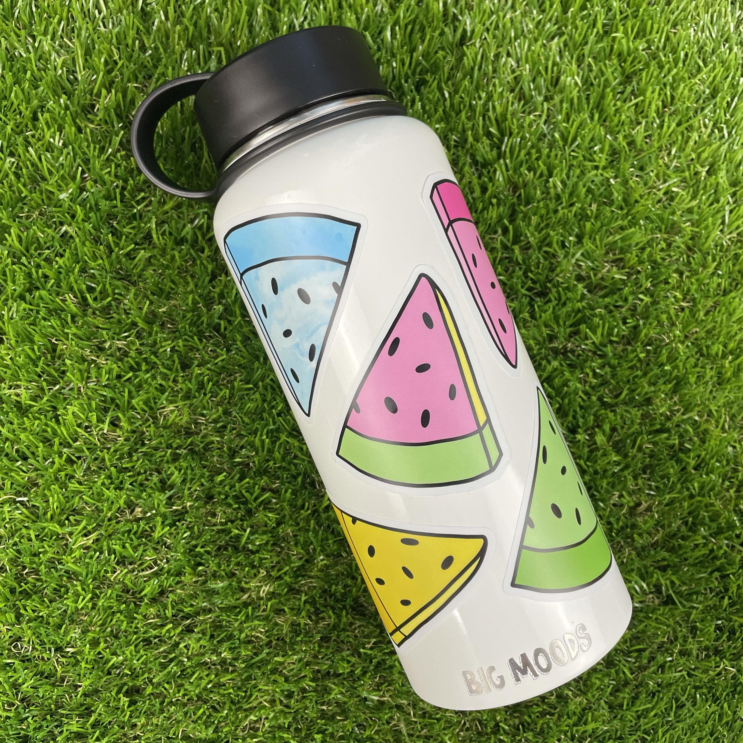 Watermelon Aesthetic Sticker Pack – Big Moods1